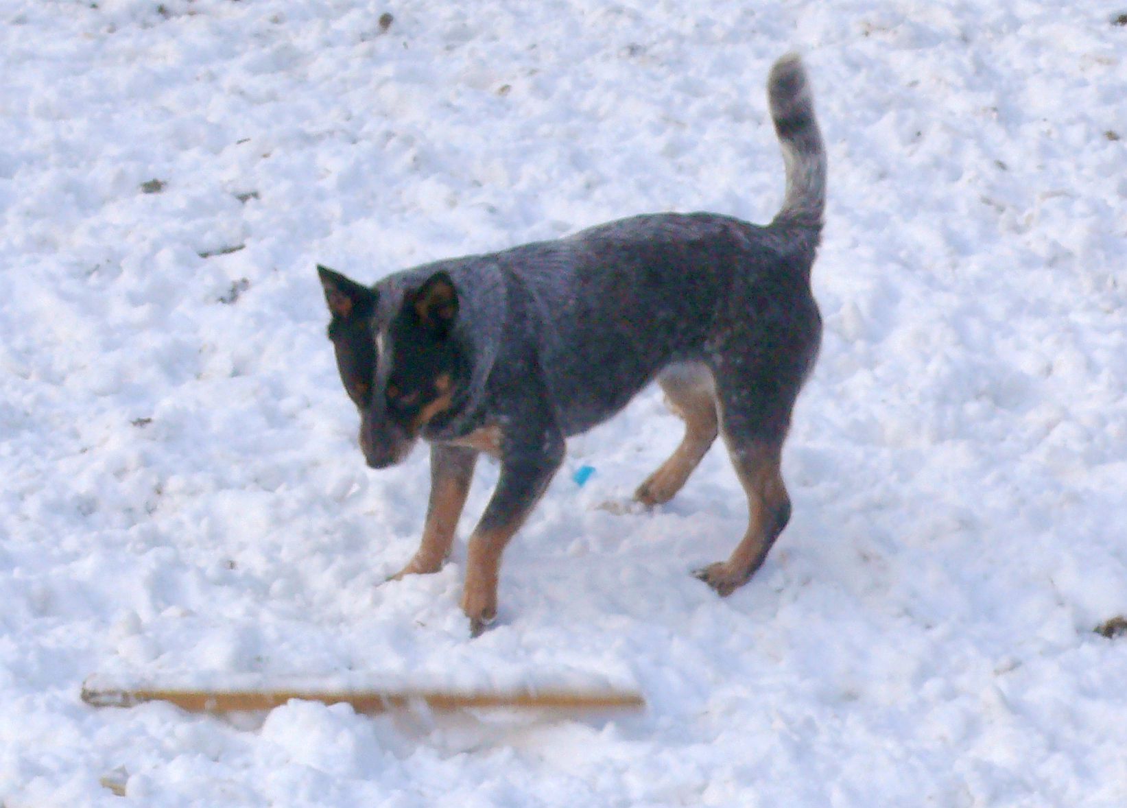 foto 008.jpg