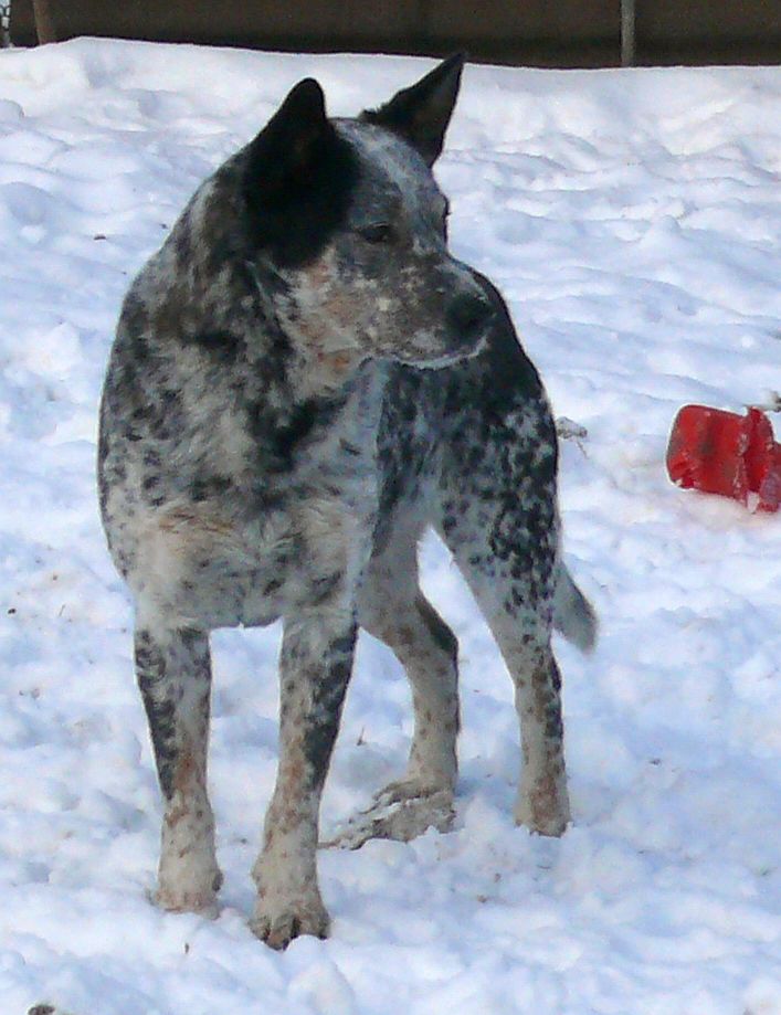 foto 019.jpg