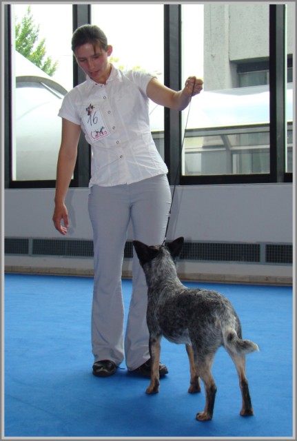 intercanis-brno---27.6.09