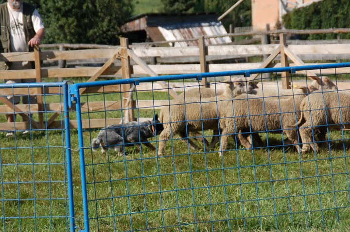 DSC_0580.JPG