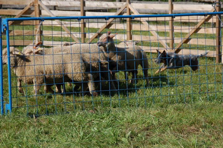 DSC_0581.JPG