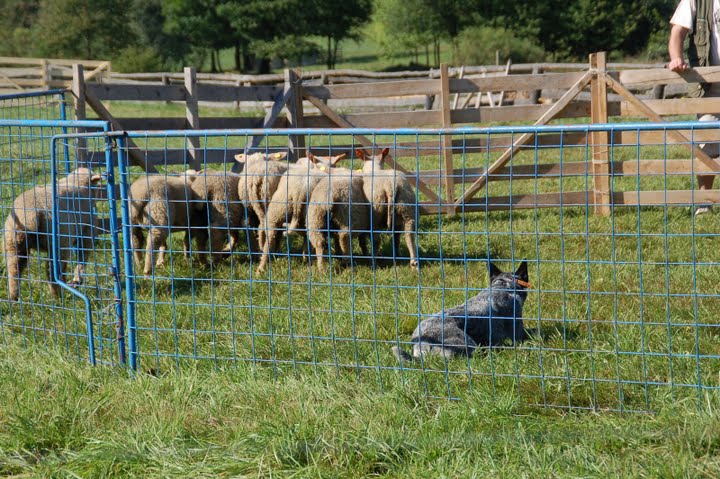 DSC_0583.JPG