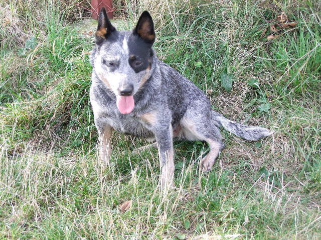 2009_09230071.JPG