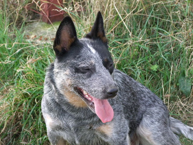 2009_09230073.JPG