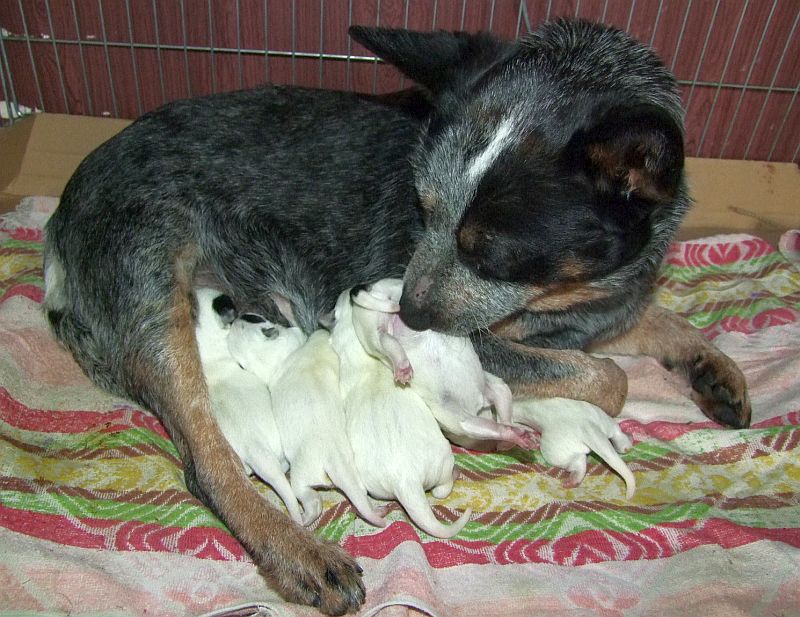 Déčka narození a 19.2. 011.jpg