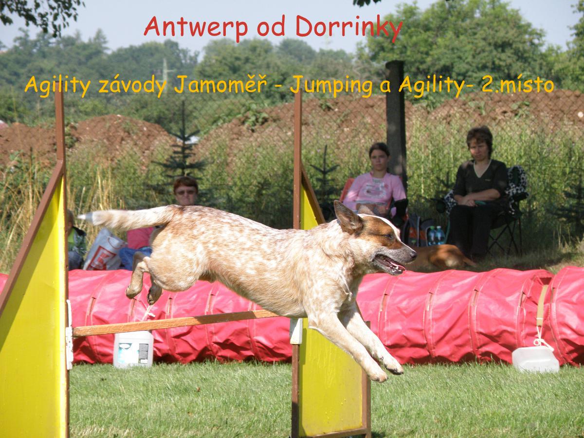 agility Jaromer 2.jpg