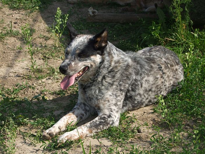 vycházka 7.6.2010 026.jpg