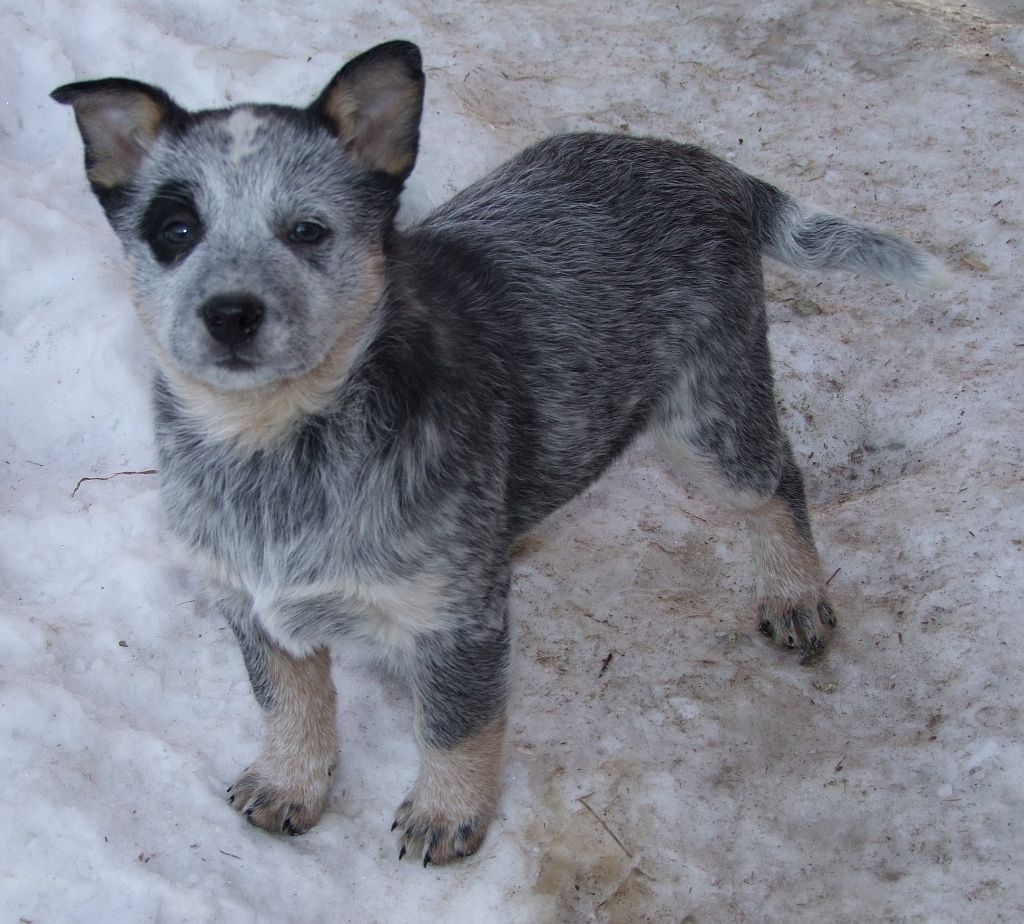 ACD 27.1.2010 007