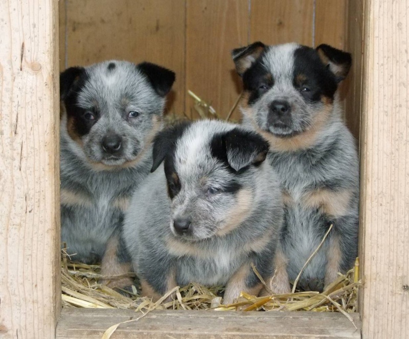 boy 3, boy 2 and girl 3