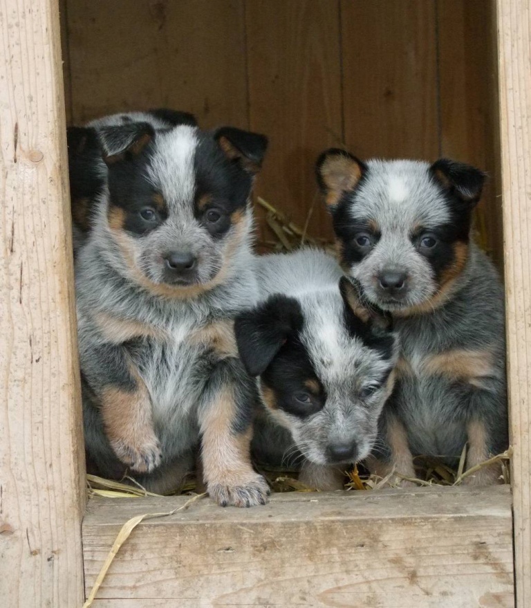 girl 3, boy 2 and girl 1 (2)