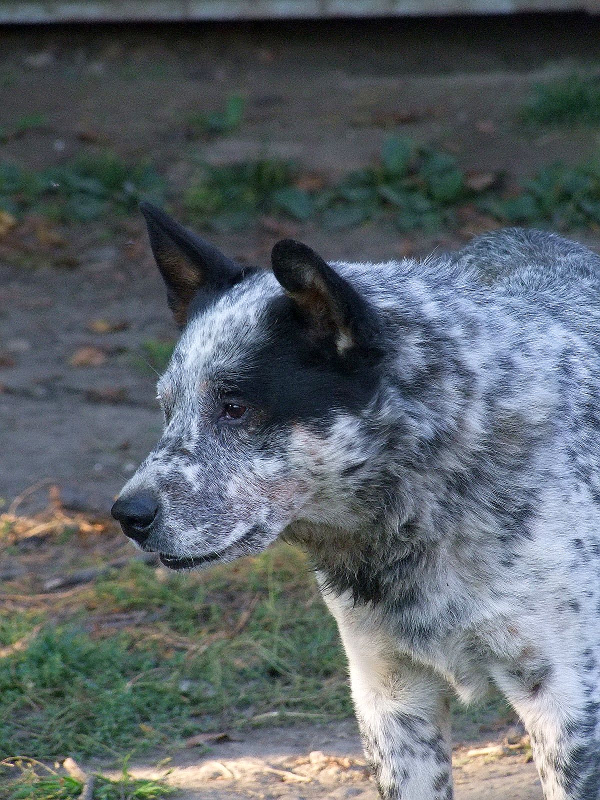 f 133