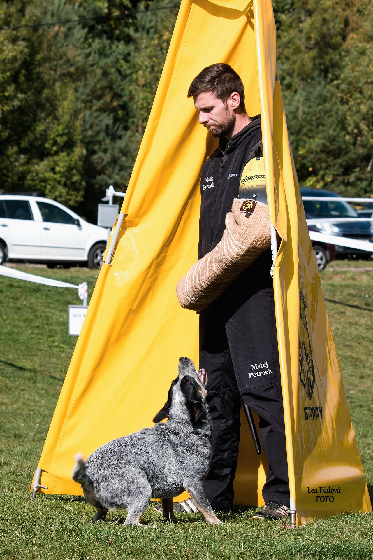 DSC_0725.jpg_compressed
