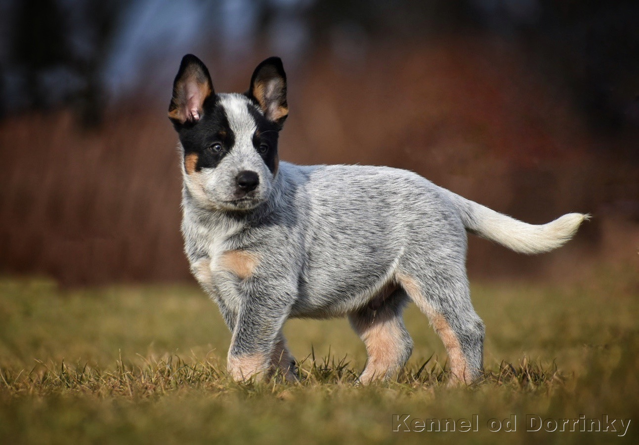 17B94EDC-22FC-4DBF-9174-3A59627E8647