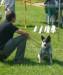 International Dog Show Warsaw 17.07.2011 ELECTRONA od Dorrinky