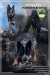 FB_IMG_1731163167383