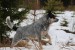 Messenger_creation_D10208C3-EED2-4498-B9EB-AB7A76C53A5A