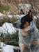 Messenger_creation_B9D6A92C-C554-4DAD-9BD3-5062546A1190